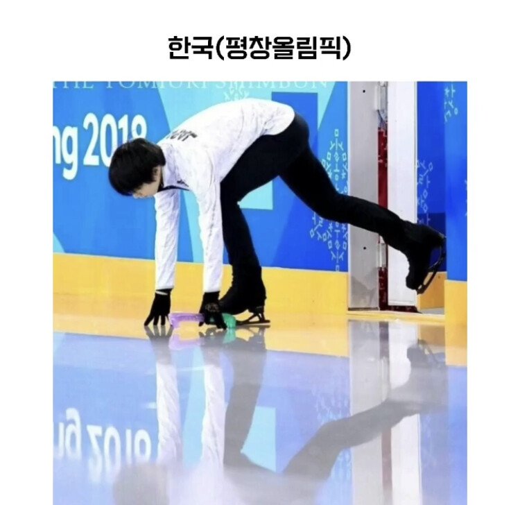 [유머] 평창 올림픽으로 보는 빙질 차이 -  와이드섬
