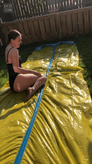 [유머] [동물]
		          신났개 -  와이드섬