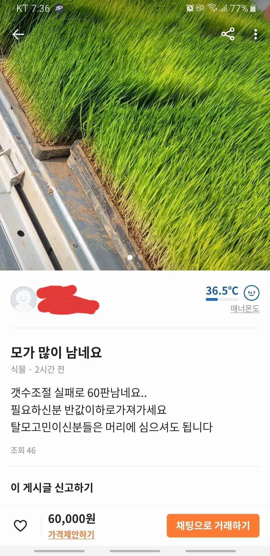 [유머] 중고로운 평화나라에 이은 당근마켓 -  와이드섬