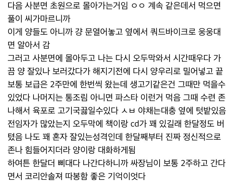 [유머] 대자연의 워킹 홀리데이 -  와이드섬