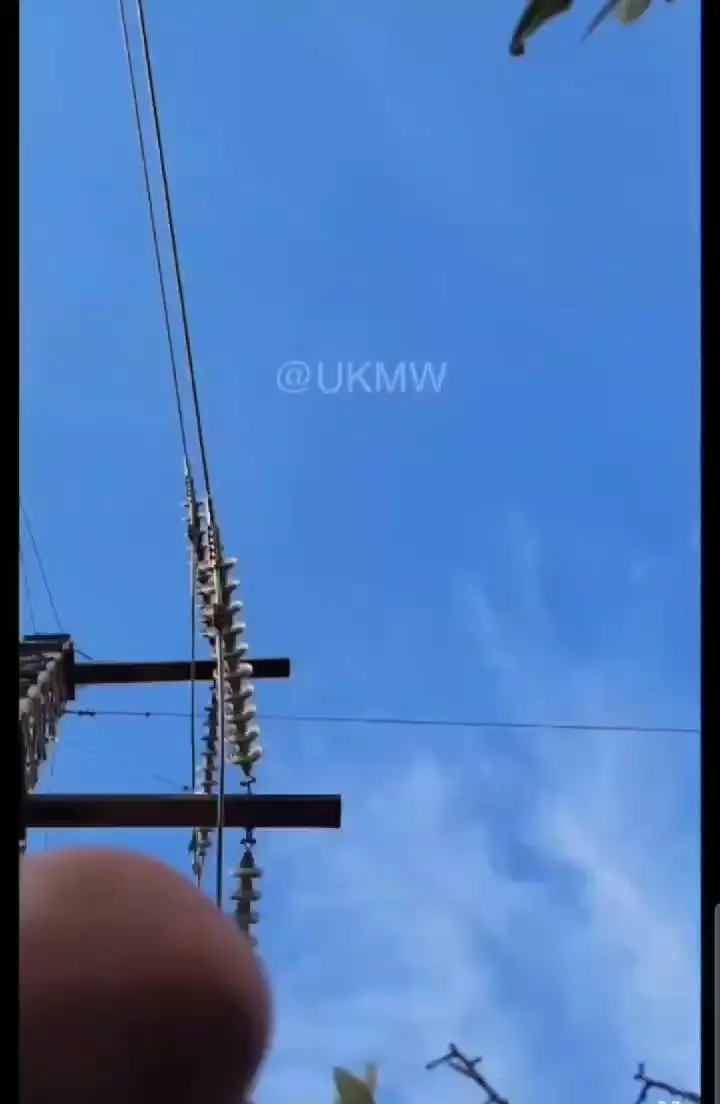 [유머] 대체 왜 저러고 사는걸까 -  와이드섬