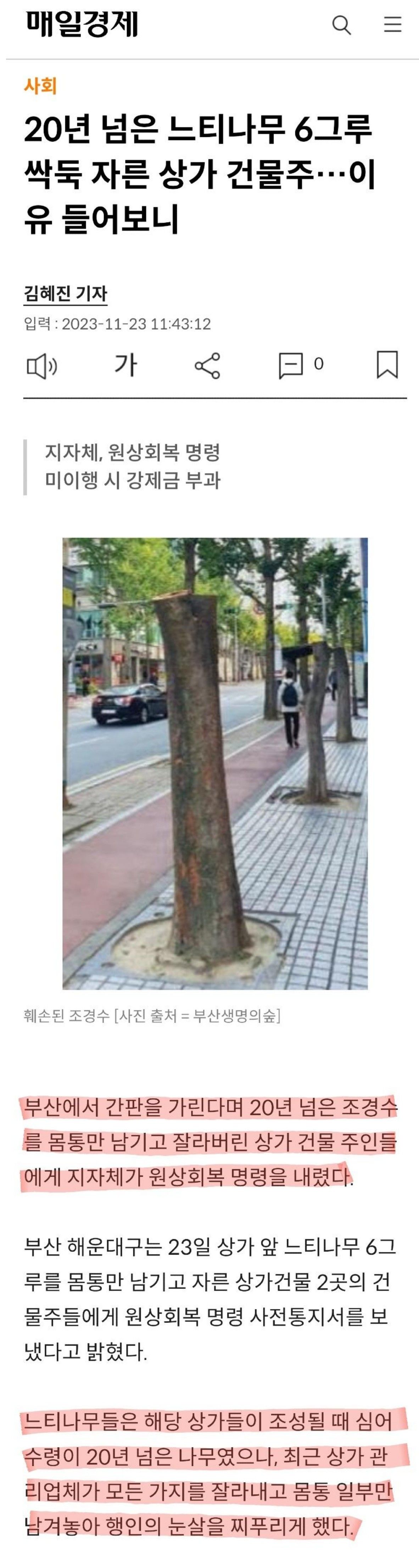 [유머] 부산 건물주의 위엄 -  와이드섬