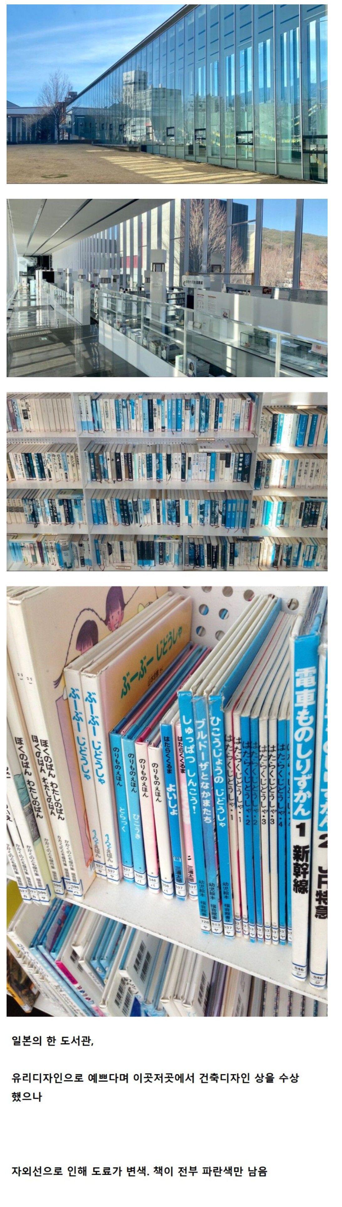 [유머] 멋있게 건설한, 섬나라 도서관... -  와이드섬