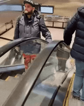 [유머] [유머]
		          에스컬레이터 게이몰카의 최후 -  와이드섬