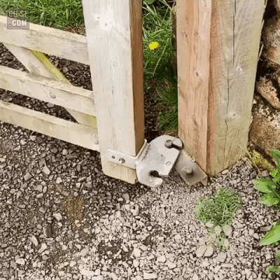 [유머] [기타]
		          신박한 나무문 경첩 -  와이드섬