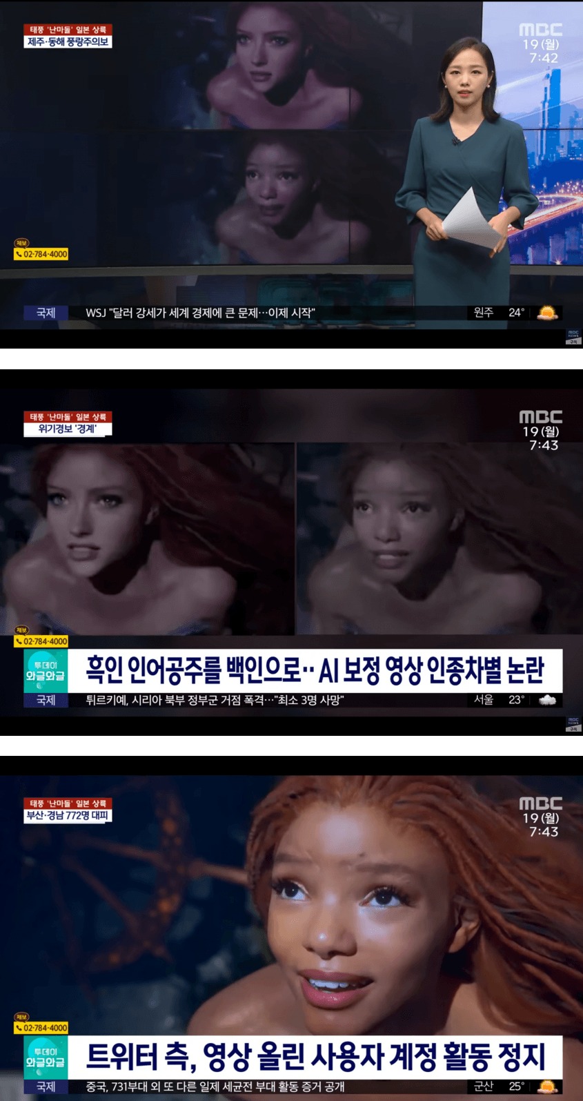 [유머] 트위터 계정정지 사유 -  와이드섬