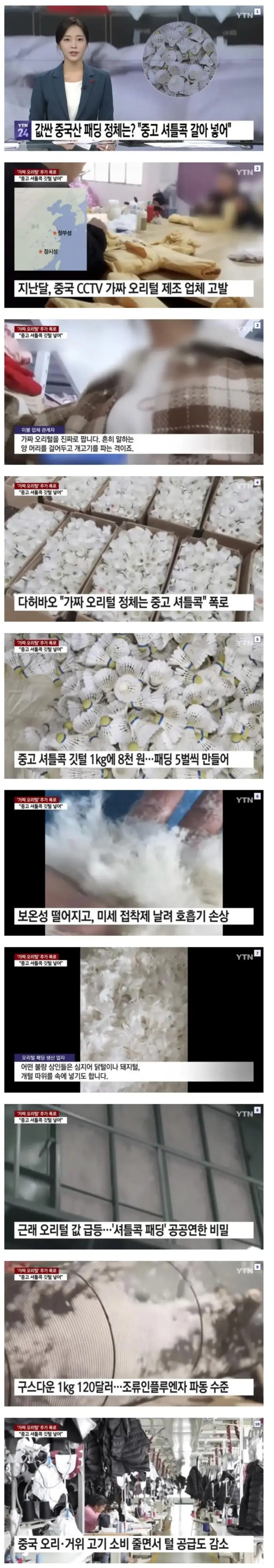 [유머] 짱꿰산 패딩이 싼 이유 -  와이드섬