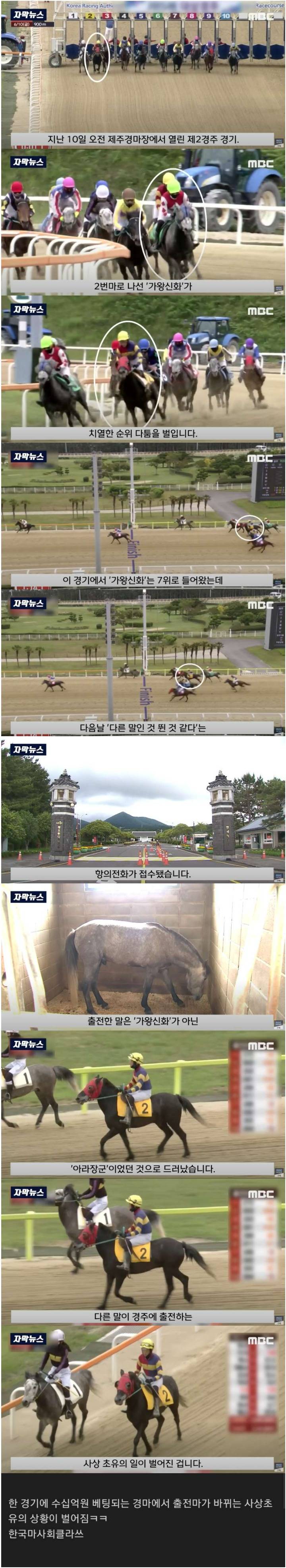 [유머] 한국 경마 상황 -  와이드섬