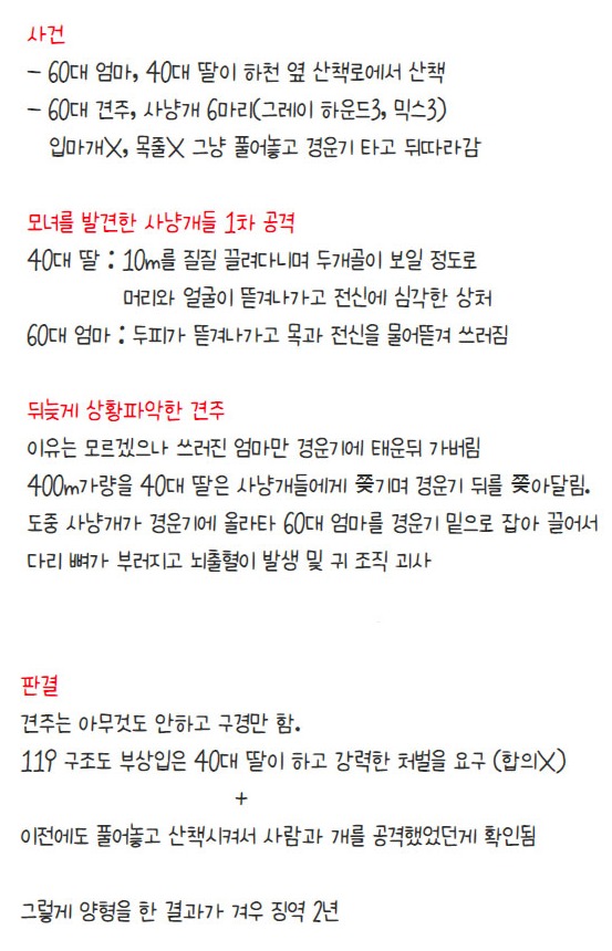 [유머] 사냥개 6마리 풀어놓고 산책시킨 견주 -  와이드섬