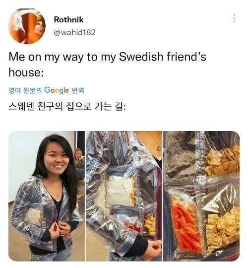 [유머] 스웨덴 친구네 가는중 -  와이드섬