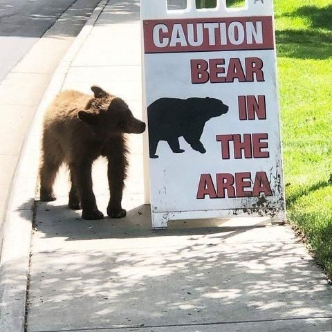 [유머] 난가? -  와이드섬