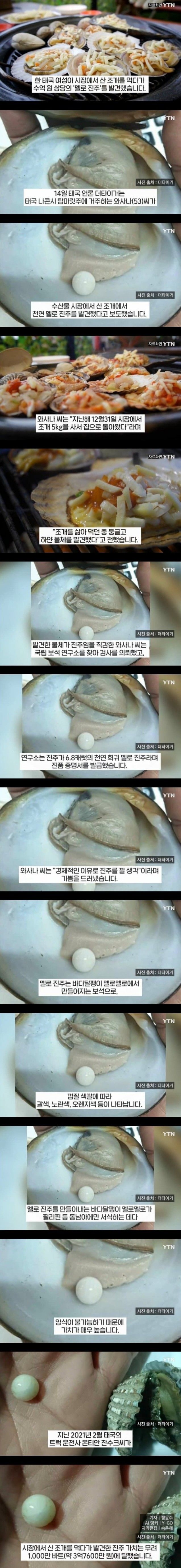 [유머] 동남아 조개에서만 나온다는 천연 로또 -  와이드섬