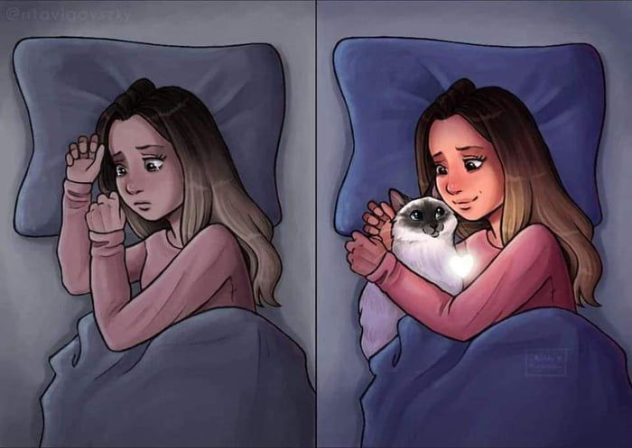 [유머] 반려동물 -  와이드섬