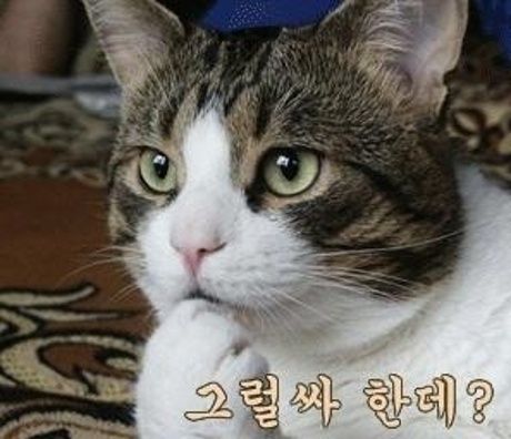 [유머] 게임 진행자의 확률 문제 -  와이드섬