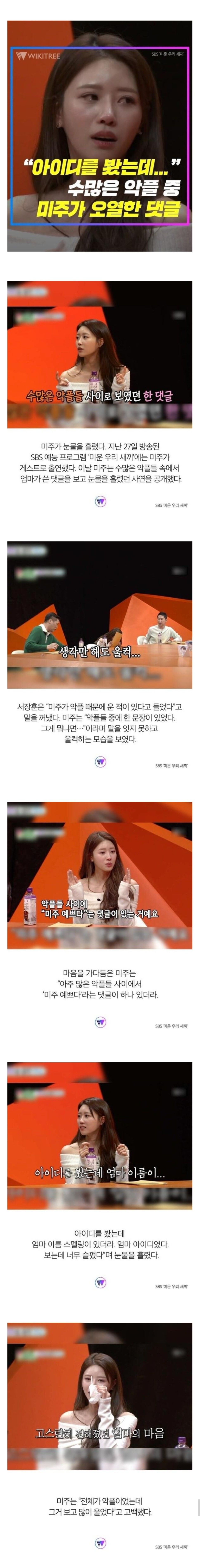 [유머] 수많은 악플 중 미주가 오열한 댓글 -  와이드섬