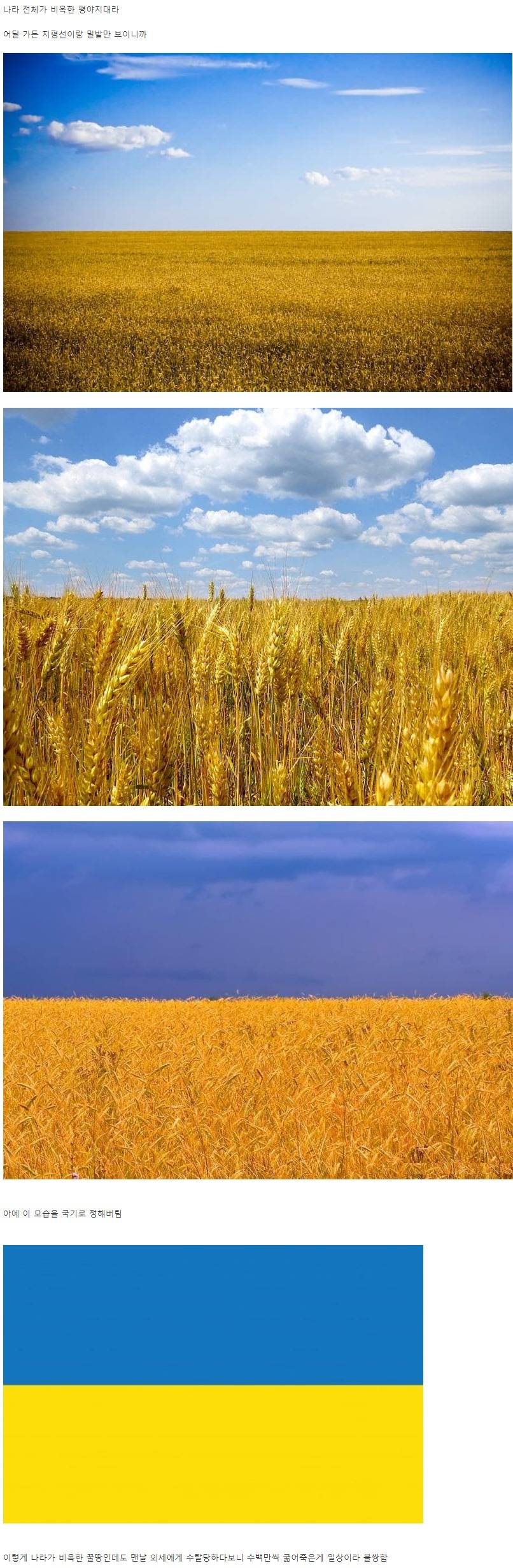 [유머] 우크라이나 국기의 유래 -  와이드섬