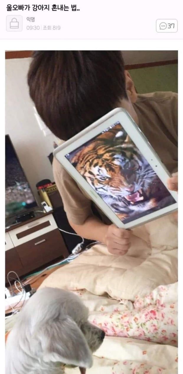 [유머] 오빠가 강아지 혼내는 법 -  와이드섬