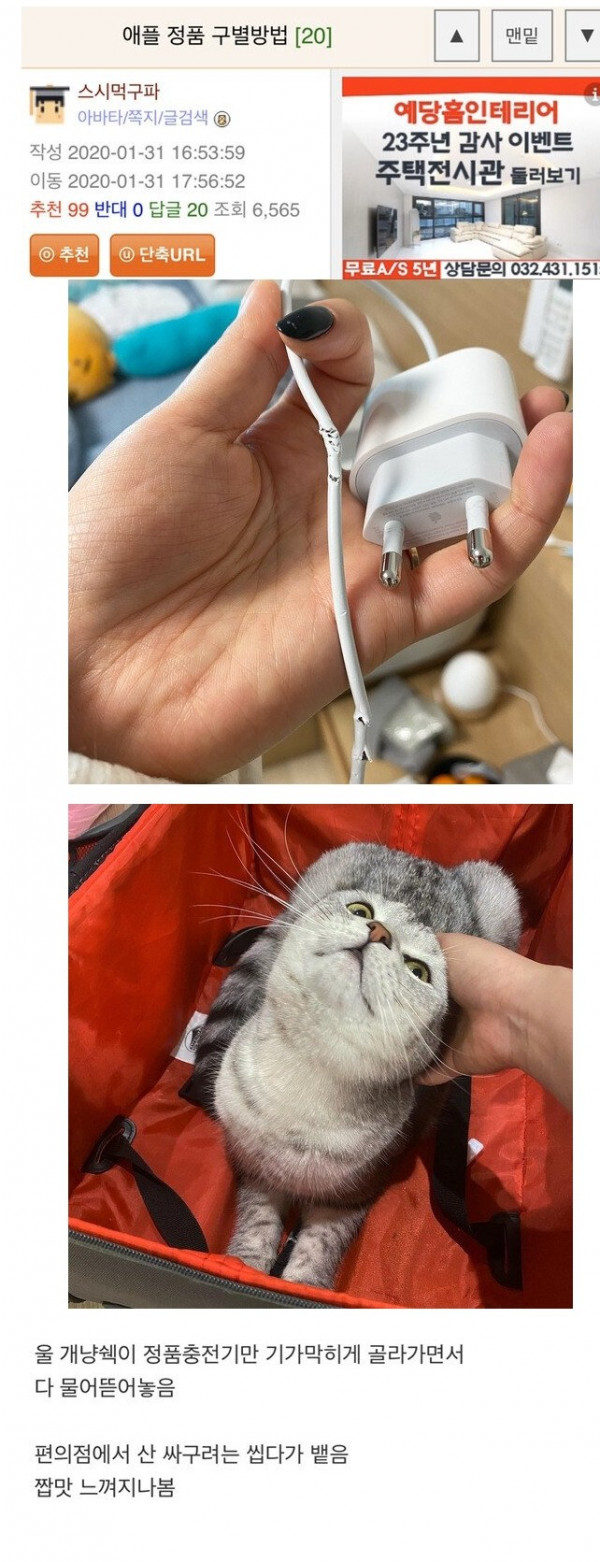 [유머] 애플 정품 구별하기. -  와이드섬