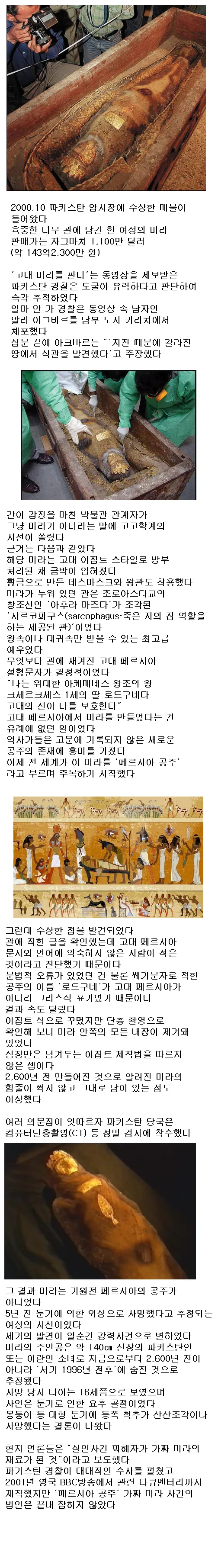 [유머] 최초 발견되었던 고대 페르시아 공주 미라의 정체 -  와이드섬