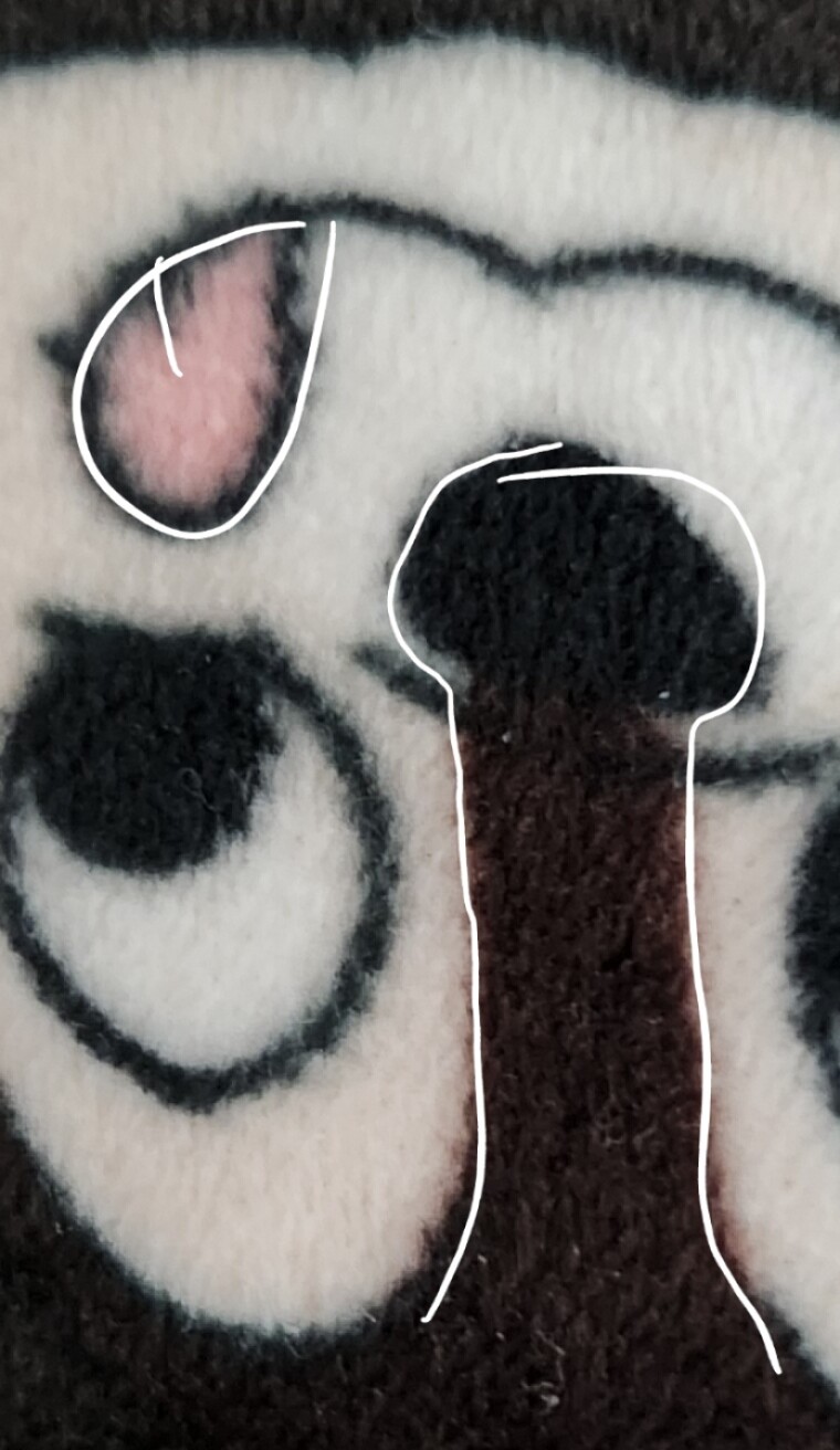 [유머] 언냐들 나만 이거 불편해? -  와이드섬