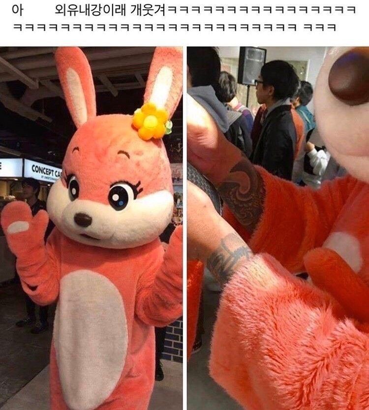 [유머] 외유내강 -  와이드섬