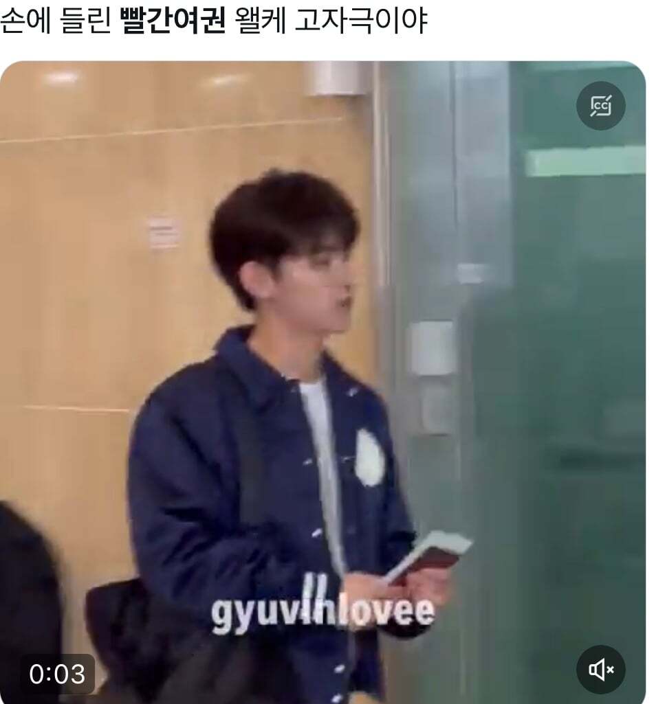 [유머] 중국인들이 빨간여권에 환장하는 이유 -  와이드섬