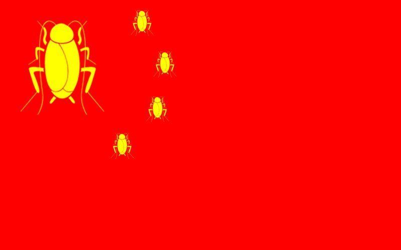 [유머] 짱꿰국 흔한, 동네 개울가 -  와이드섬