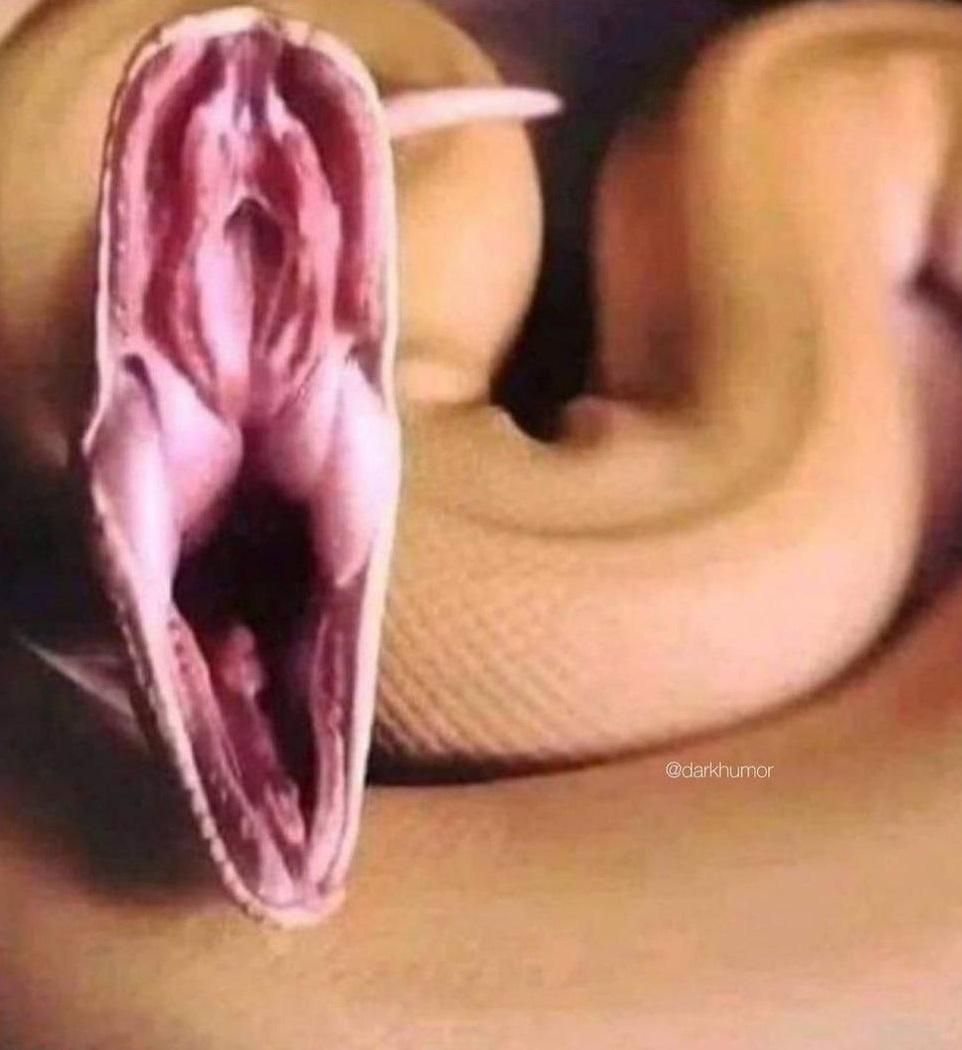 [유머] 시켜드립니다 -  와이드섬