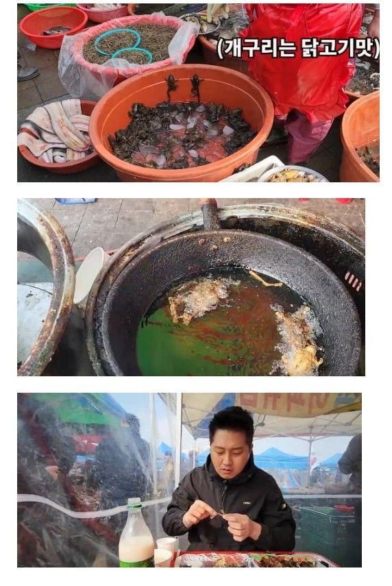 [유머] 모란시장 개구리 튀김 -  와이드섬