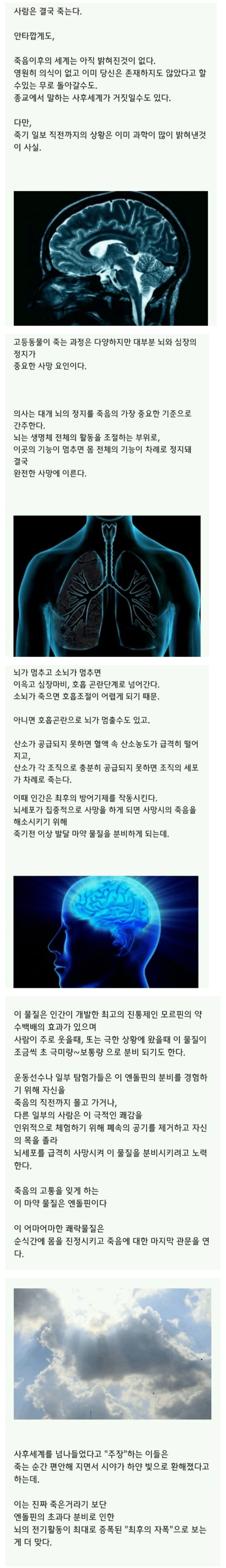 [유머] 죽기 직전 분비되는 엔돌핀 -  와이드섬