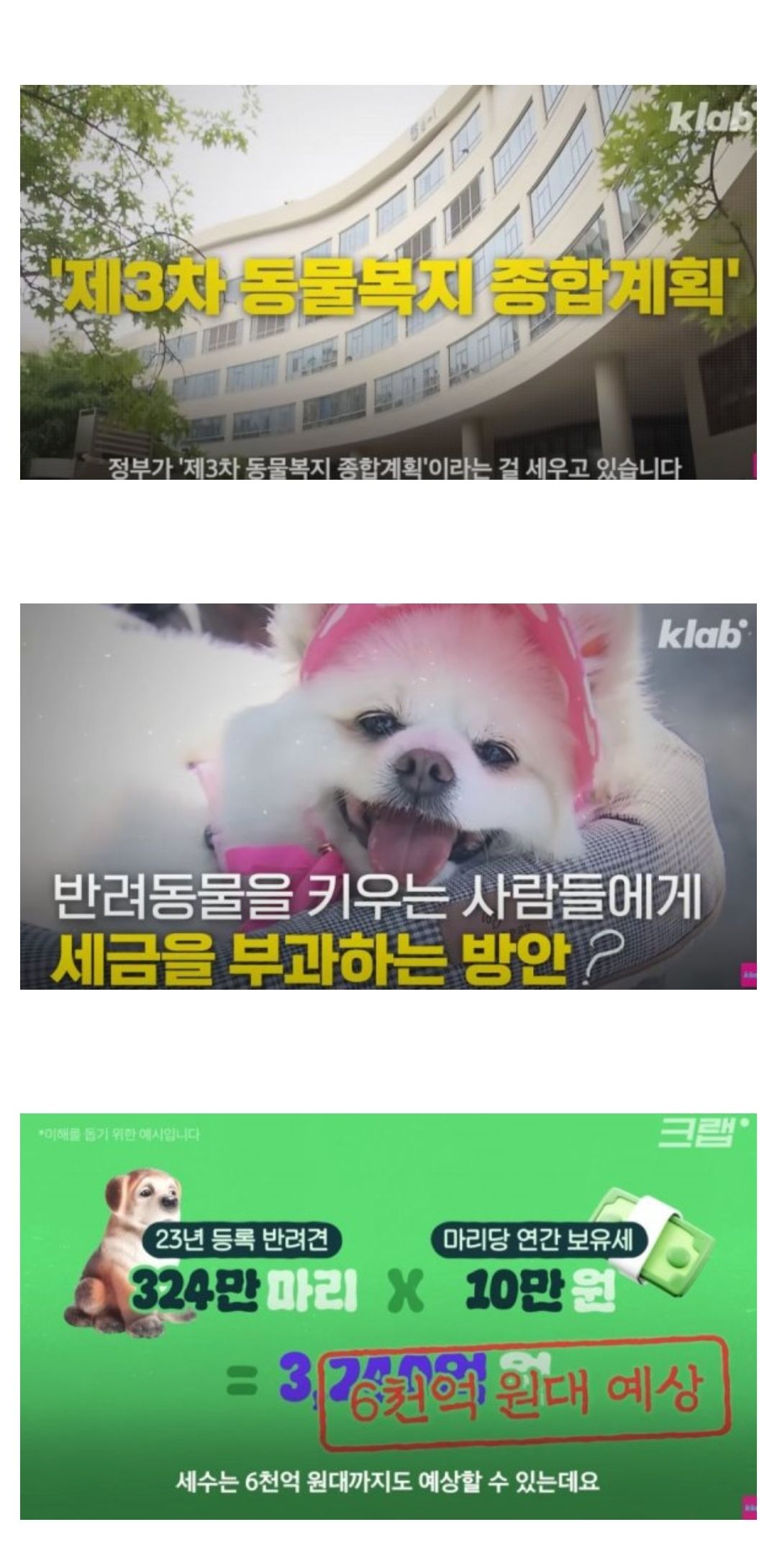 [유머] 애완견 보유세 (절대찬성) -  와이드섬