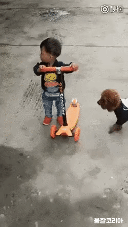 [유머] [유머]
		          나와봐 내꺼. -  와이드섬