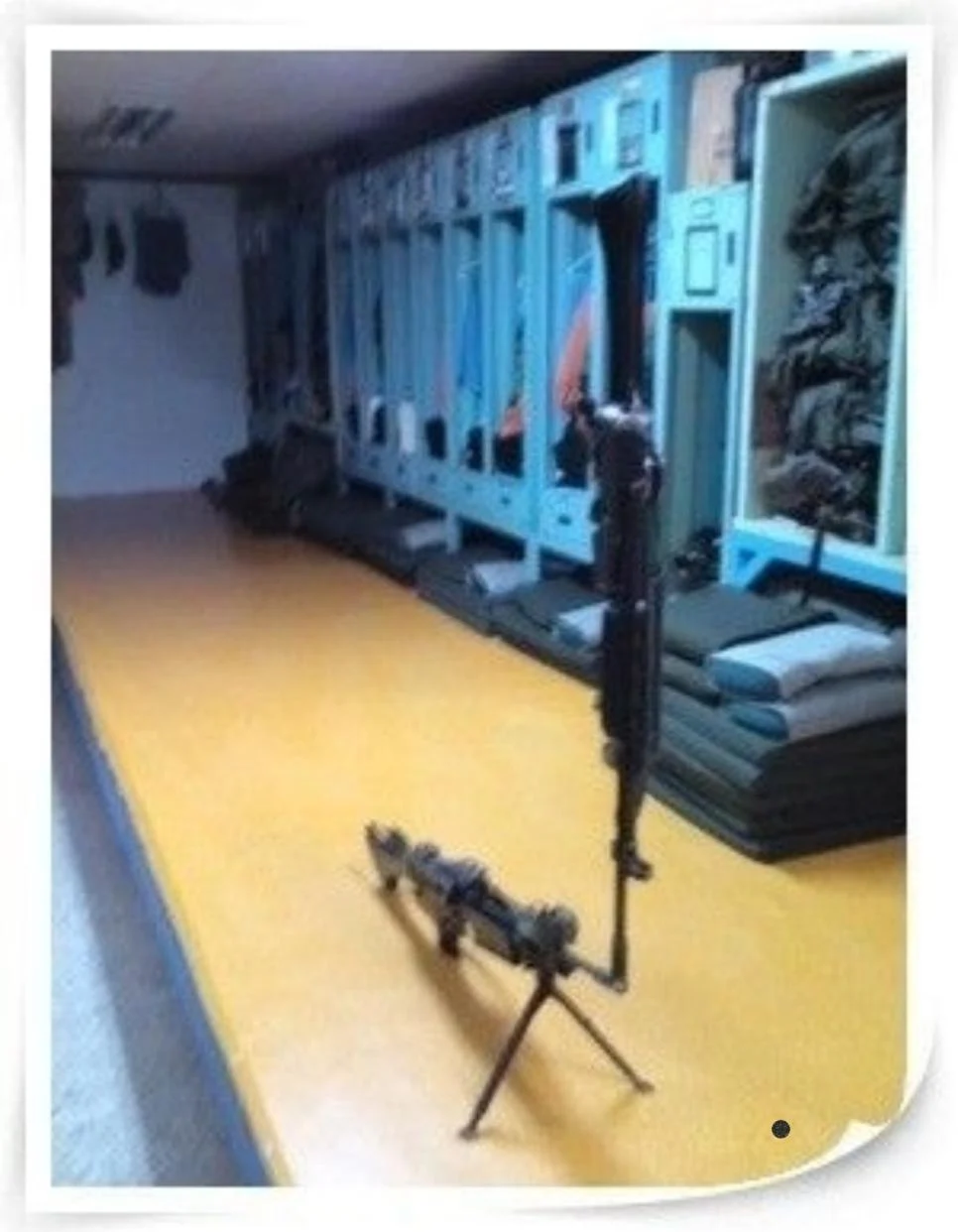 [유머] 미필들은 이해못하는 사진 -  와이드섬