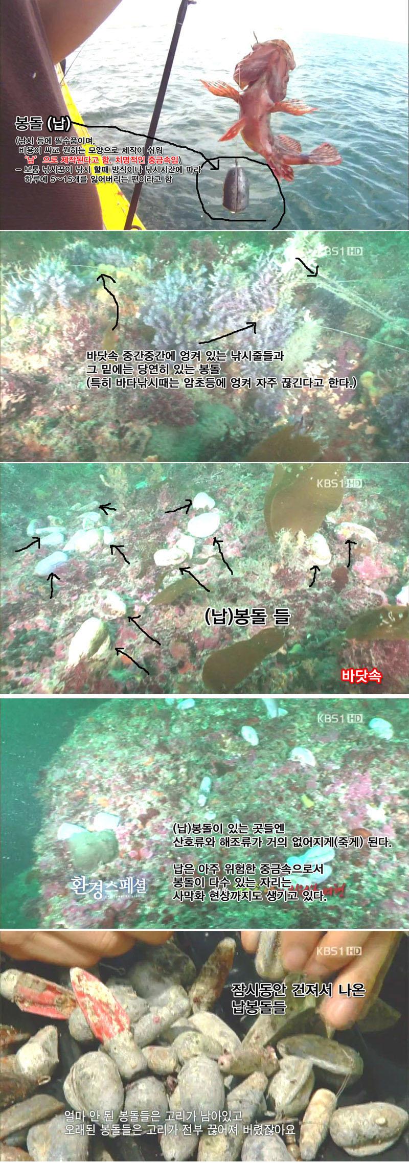 [유머] 낚시꾼이 다녀간 뒤 고통받는 자연 -  와이드섬