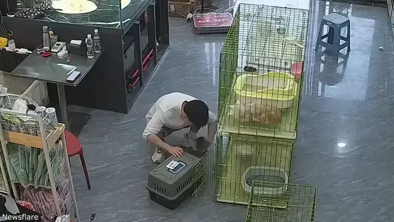 [유머] 펫샵 초보 직원의 고난 -  와이드섬