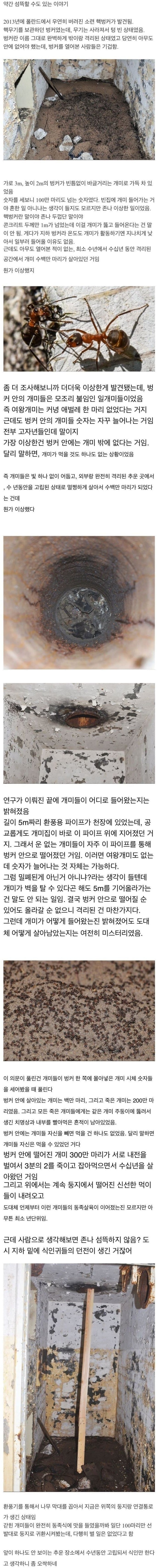 [유머] 오싹한 동족 포식 -  와이드섬