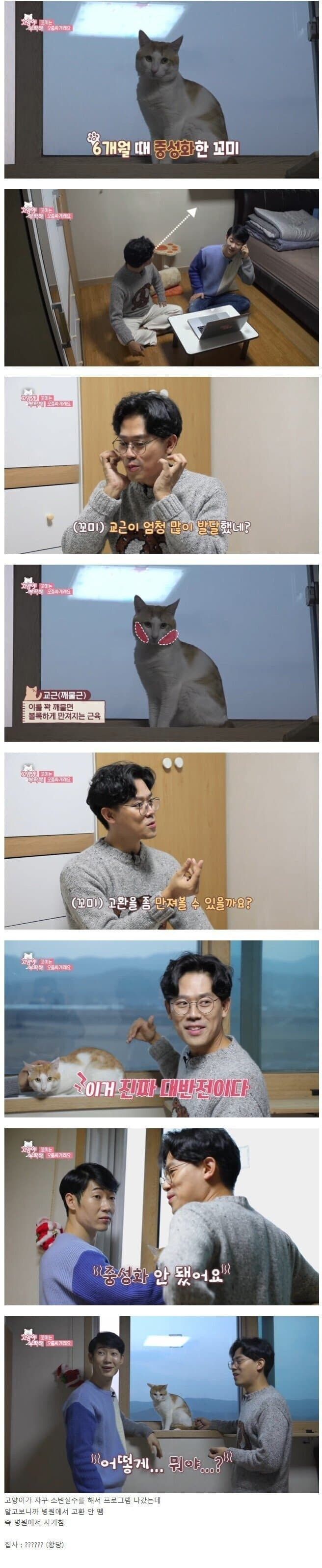 [유머] 방송도중 밝혀진 동물병원 사기 -  와이드섬