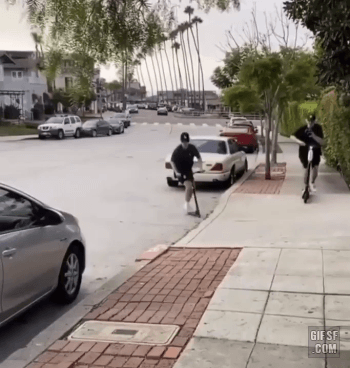 [유머] [유머]
		          킥보드 묘기. -  와이드섬