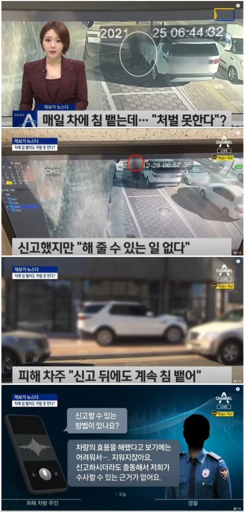 [유머] 의외로 처벌 안 받는 행위 -  와이드섬