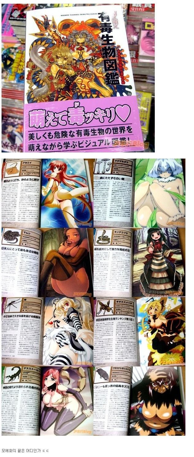 [유머] 성진국의 흔한 동.식물 백과사전 -  와이드섬