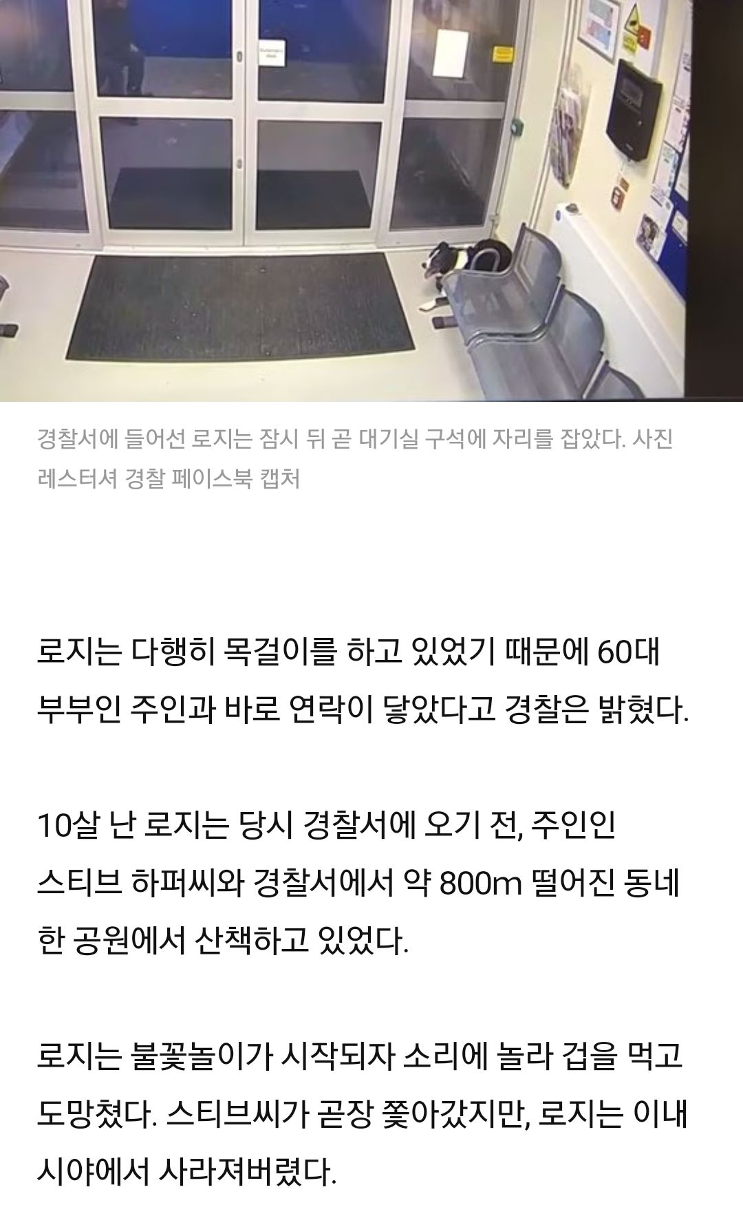 [유머] 소인이 길을 잃었소만... -  와이드섬