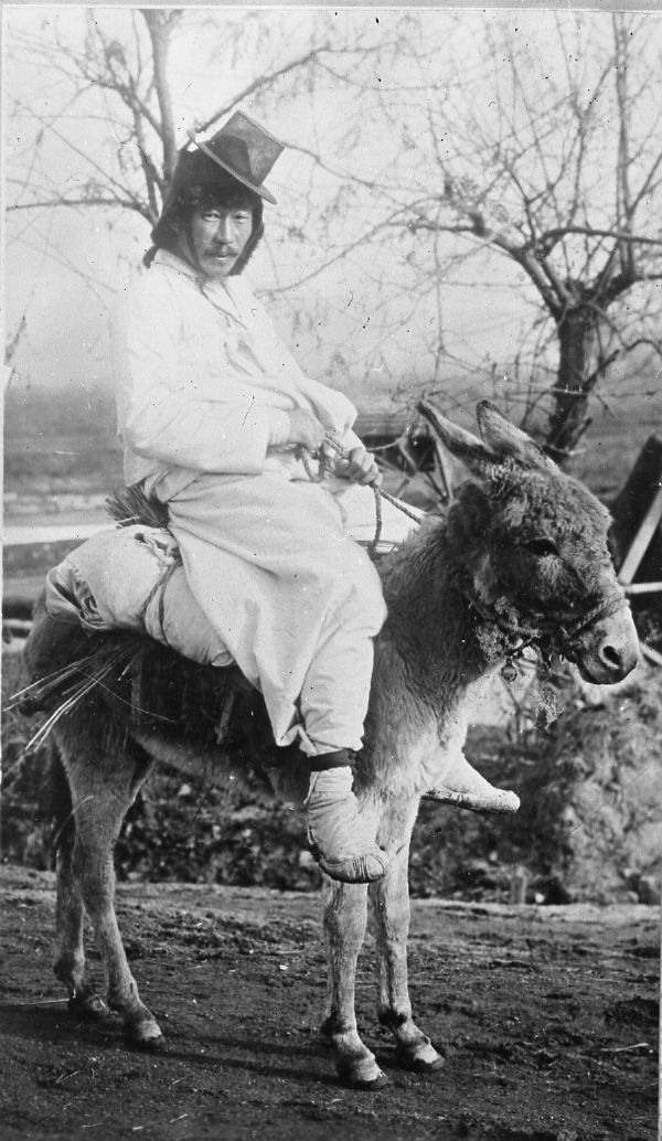 [유머] 한반도에서 소리 소문 없이 멸종 된 동물 -  와이드섬