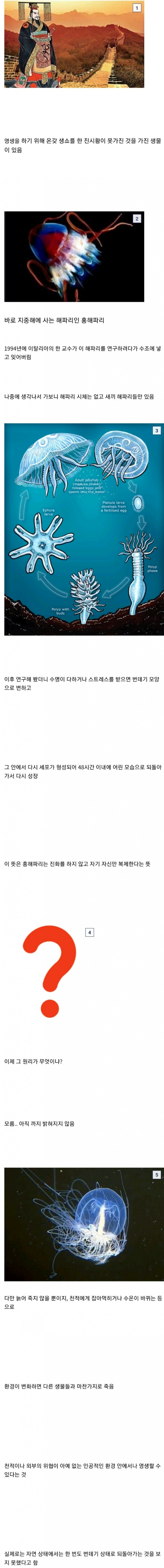 [유머] 죽지 않는 생물 -  와이드섬