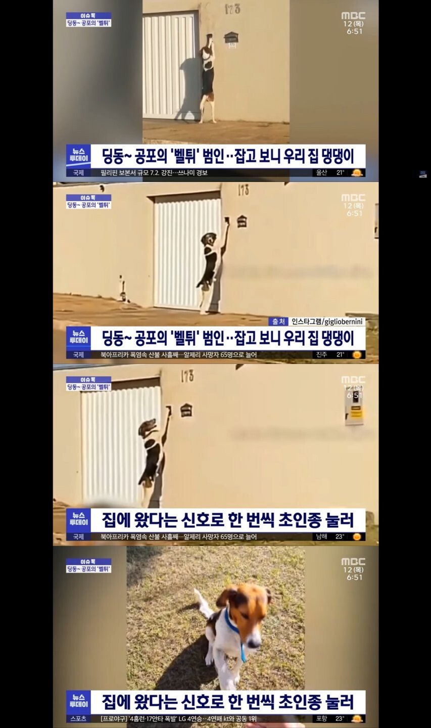 [유머] 벨튀 범인 신원 확보 -  와이드섬