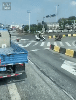 [유머] 도심 속의 썰매 견. -  와이드섬