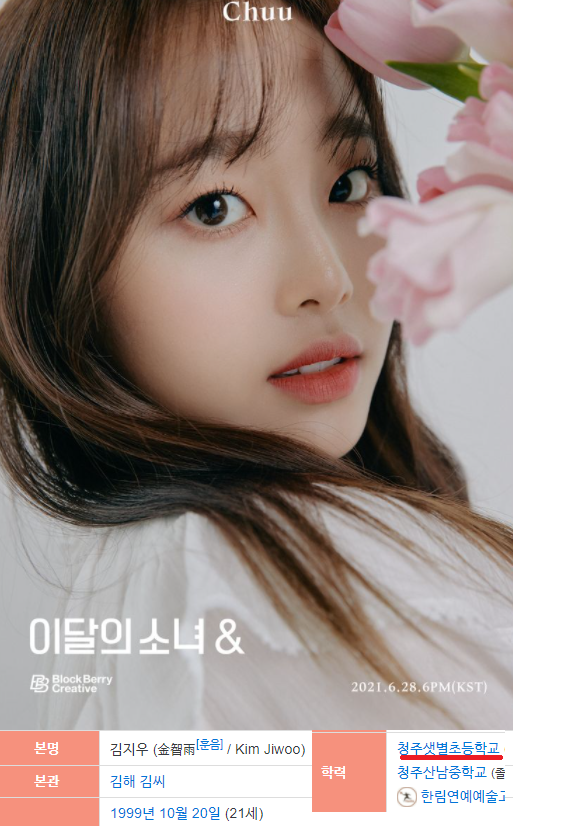 [유머] 공룡이 궁금했던 이달의소녀 츄ㅋㅋ -  와이드섬