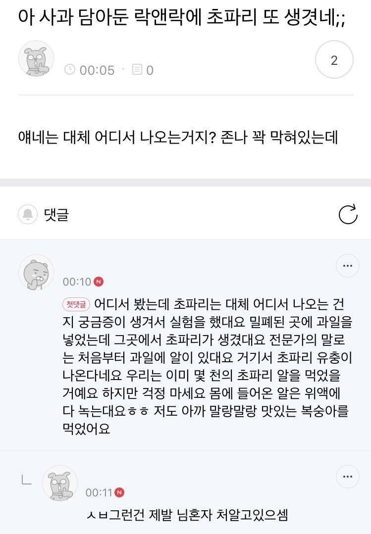 [유머] 초파리가 생기는 이유 -  와이드섬