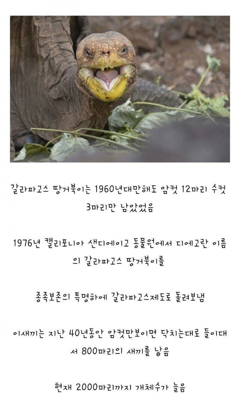 [유머] 멸종을 막아낸 생수머신 -  와이드섬